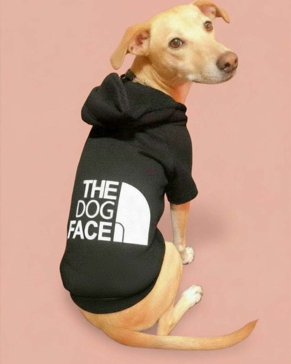 Polerón Calentito para Perr@ 🐶 "The dog face"| Comodidad y Estilo Diario