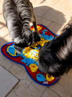 Alfombra Olfativa Didáctica para Perros 50x50 cm 🐶🧠 | Estimulación y Diversión