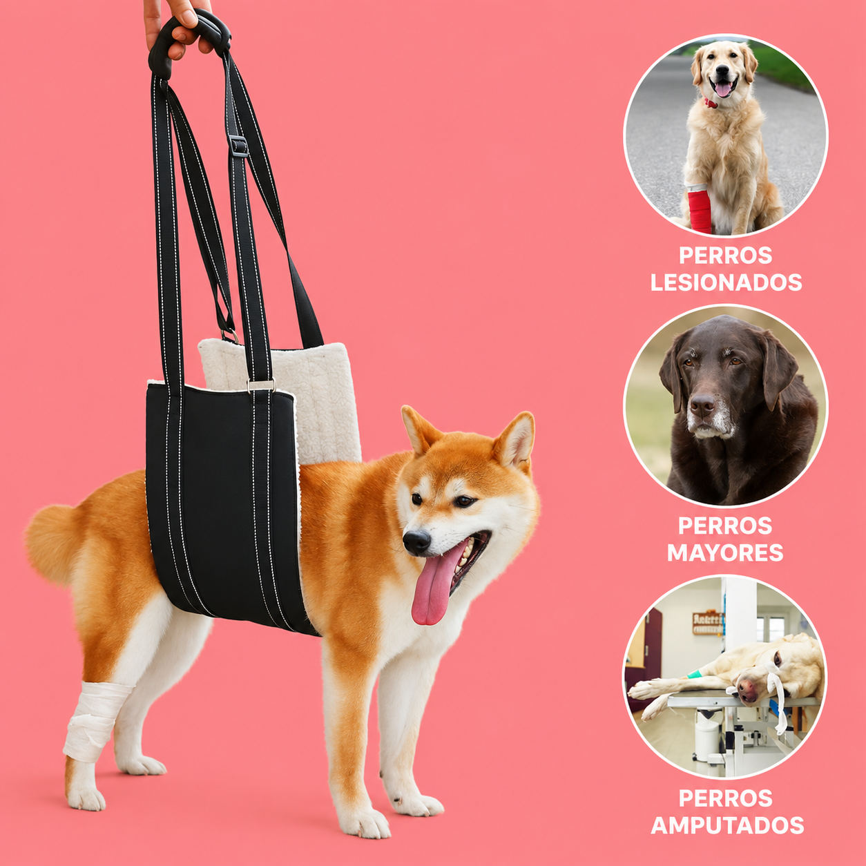 🐾❤️Arnés de Soporte y Elevación para Perros | 🐾Ayuda para Patas Traseras y Movilidad 🐶❤️