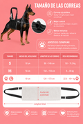 🐾❤️Arnés de Soporte y Elevación para Perros | 🐾Ayuda para Patas Traseras y Movilidad 🐶❤️