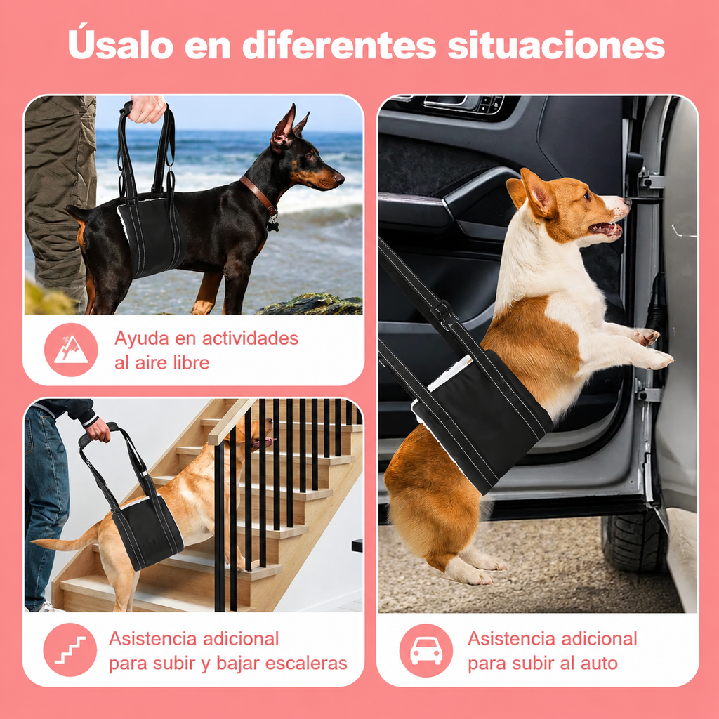 🐾❤️Arnés de Soporte y Elevación para Perros | 🐾Ayuda para Patas Traseras y Movilidad 🐶❤️