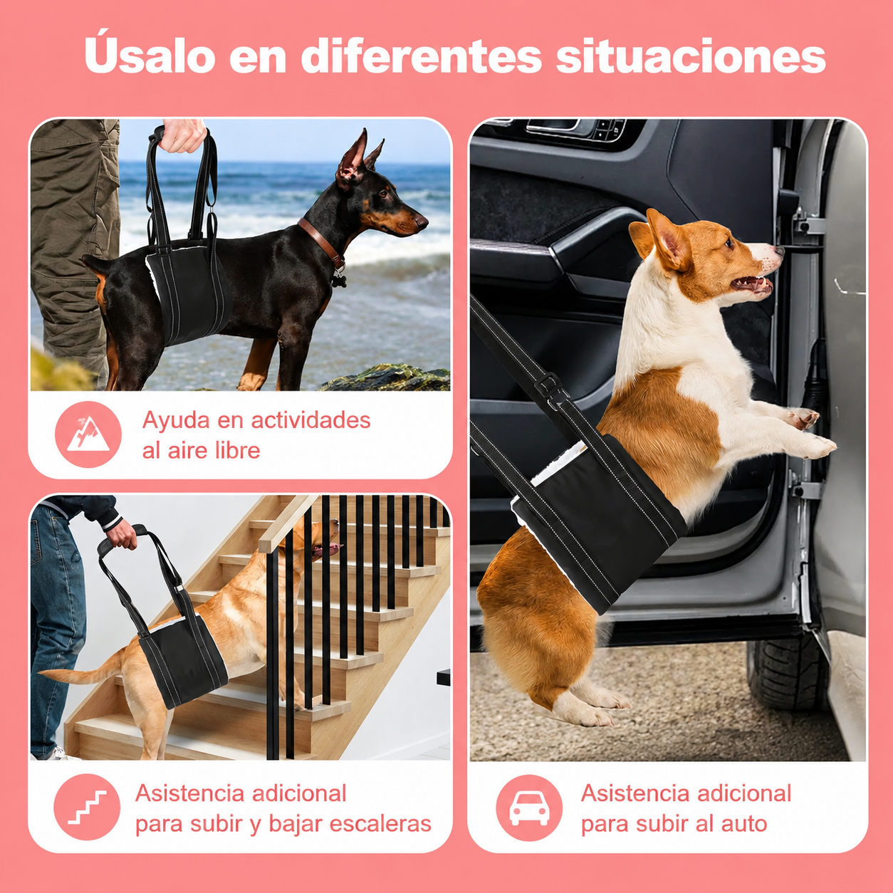 🐾❤️Arnés de Soporte y Elevación para Perros | 🐾Ayuda para Patas Traseras y Movilidad 🐶❤️
