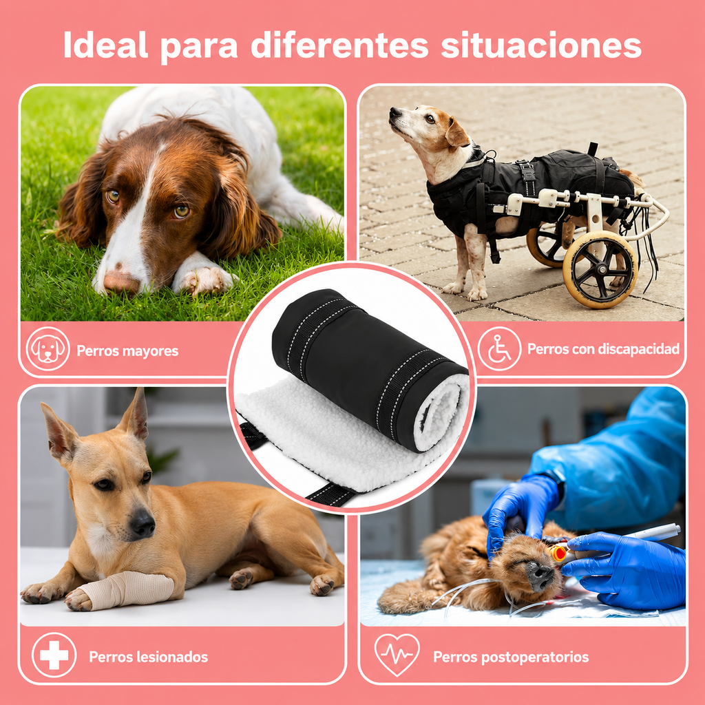 🐾❤️Arnés de Soporte y Elevación para Perros | 🐾Ayuda para Patas Traseras y Movilidad 🐶❤️
