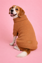 Chaleco Tejido para Perr@ 🐶 | Abrigo Calentito y Estilo otoño - Invierno
