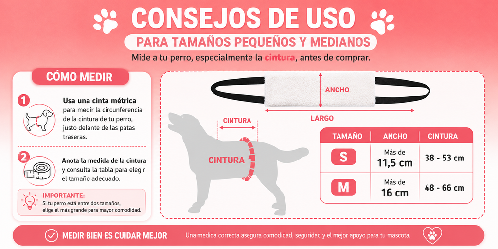 🐾❤️Arnés de Soporte y Elevación para Perros | 🐾Ayuda para Patas Traseras y Movilidad 🐶❤️