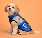 Chaqueta Impermeable para Perr@ XL🌧️🐶 | Protección contra Lluvia y Frío