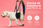 🐾❤️Arnés de Soporte y Elevación para Perros | 🐾Ayuda para Patas Traseras y Movilidad 🐶❤️