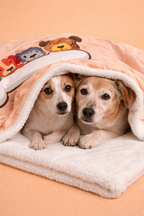 Manta Suave y calientita para Perr@ 🐶 Talla L (89x56 cm)| Diseño tierno perrit@s