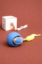 Pelota automática para Gatos 🐱 | Para mantener activos a tus michis