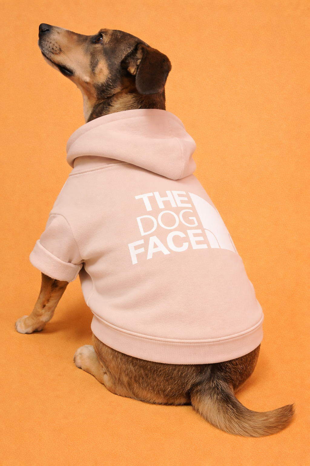 Polerón Calentito para Perr@ 🐶 "The dog face"| Comodidad y Estilo Diario