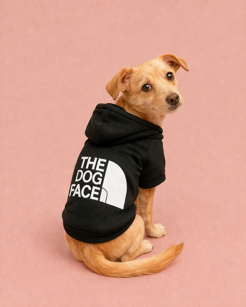 Polerón Calentito para Perr@ 🐶 "The dog face"| Comodidad y Estilo Diario