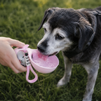 ✨Producto viral: ✨Botella Portátil Plegable para Mascotas | Bebedero de Paseo Antiderrame 🐶💧🐱