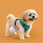 ✨Producto viral: ✨Botella Portátil Plegable para Mascotas | Bebedero de Paseo Antiderrame 🐶💧🐱